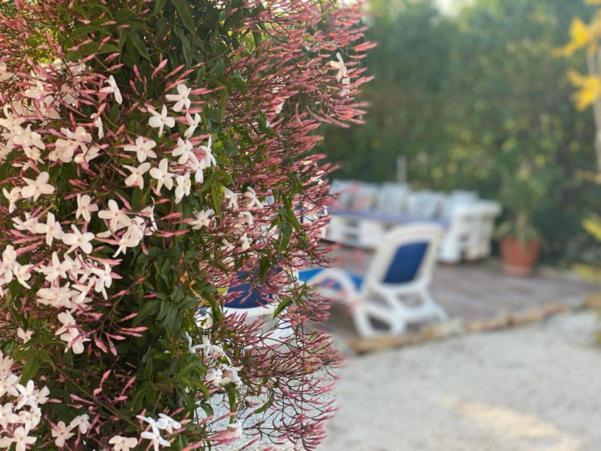 Lovely 2 Bed Apartment In Alcalalí Eksteriør bilde